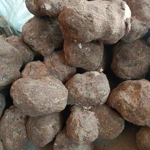 罗田县新鲜茯苓