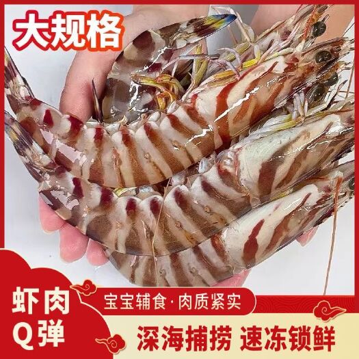 大虾新鲜海鲜竹节虾鲜活速冻海虾斑节虾九节虾鲜虾海鲜水产