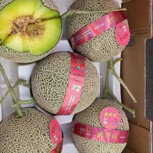 莱西市出售网纹瓜精品一块七次品八毛