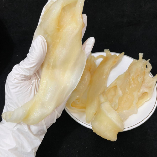 广州鱼胶花胶14头北海阴阳鱼胶深海滋补海味干货孕期产后恢复花胶汤