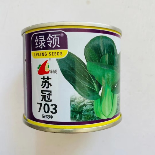 四季青菜种子苏冠703矮脚上海青菜种子苏州青菜种子