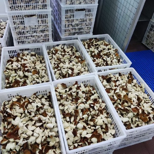 江门会陈皮大红皮