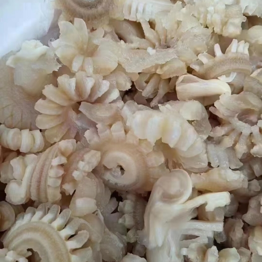 成都牛鞭花