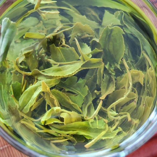 日照日照绿茶麦黄茶～6月初的通货料，滋味浓香气高汤色黄绿明亮