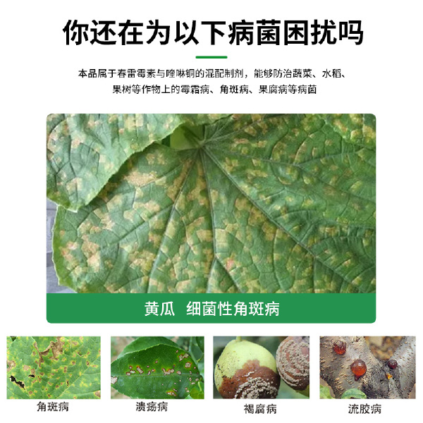 春雷喹啉铜农药柑橘溃疡病春雷霉素细菌性角斑杀菌剂