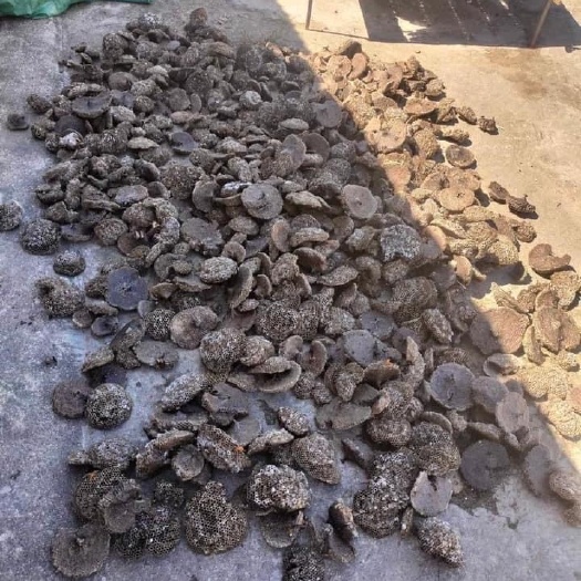 靖西市蜂房大量现货