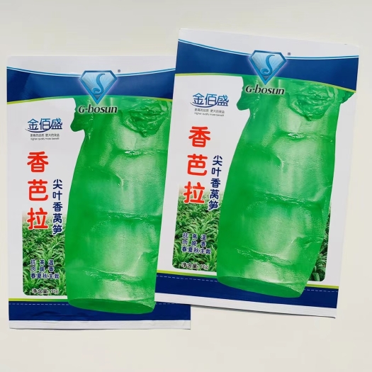 宿迁香芭拉尖叶莴笋种子莴苣种子 香笋6号圆叶耐寒莴笋种子莴苣种子