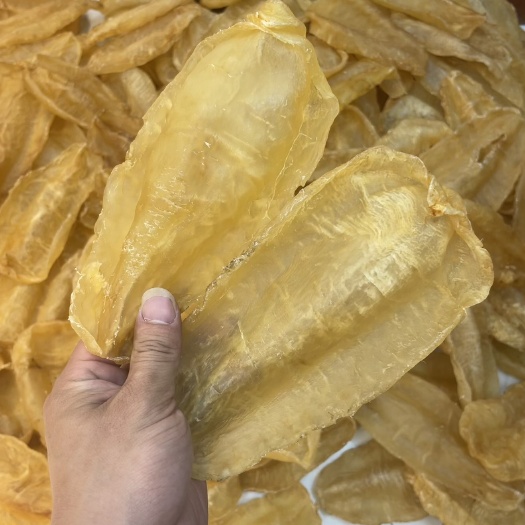 广州鱼胶，花胶，鳘鱼胶，赤嘴胶，斗湖 胶，斗湖公