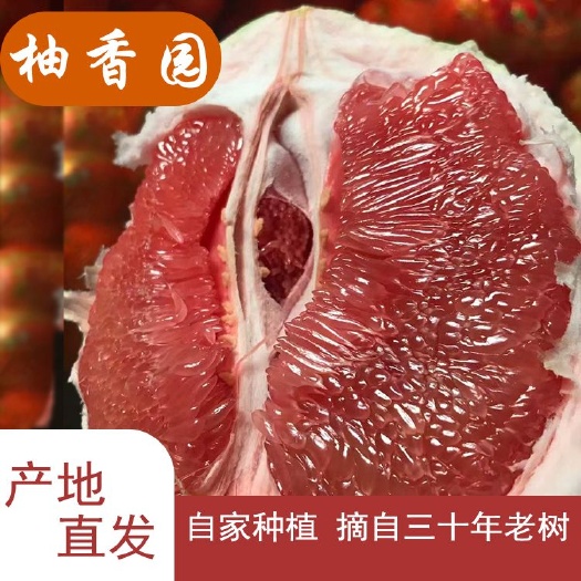 平和县福建平和琯溪蜜柚红心蜜柚 三红柚 无籽
