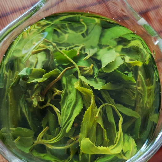 日照秋绿茶～日照绿茶通货料早秋茶，滋味浓沙口大黄汤通透耐冲泡