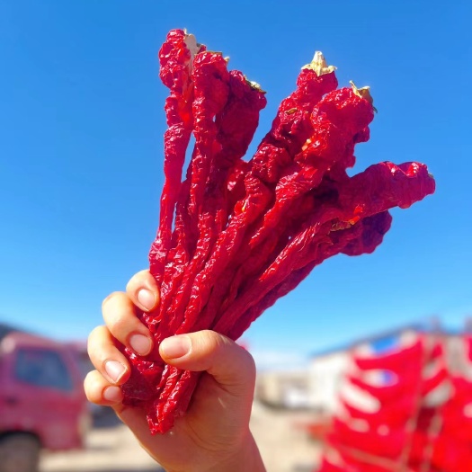新疆博斯腾湖边人工挂绳晾晒，天然绿色，干净无杂质
