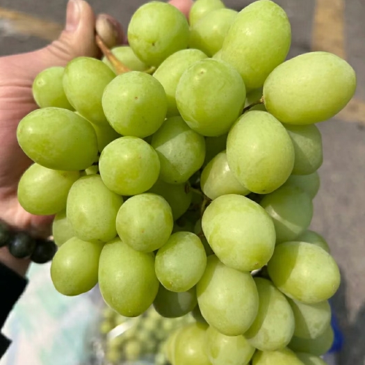 西昌市秋天，清脆