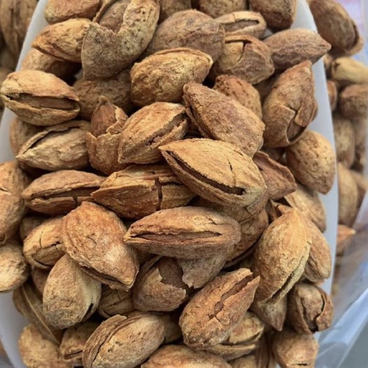 麦盖提县巴旦木