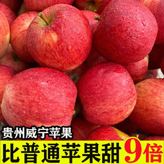 威宁县现摘】贵州威宁嘎啦苹果脆甜红富士冰糖心应季水果新鲜批发一整箱