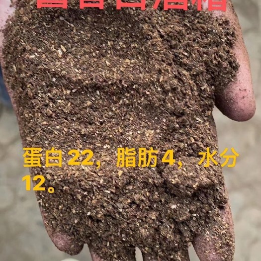 遵义酱香白酒糟。月供可达1000吨。不间断供应。蛋白23，脂肪7