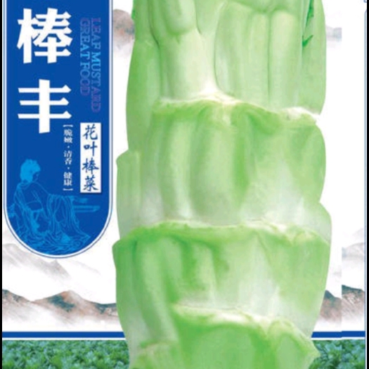 眉山七禾棒丰  花叶棒菜种子，缺叶棒菜种子，早熟，皮薄