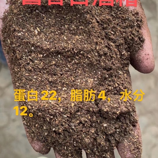 酱香白酒糟。月供可达1000吨。不间断供应。蛋白23，脂肪7