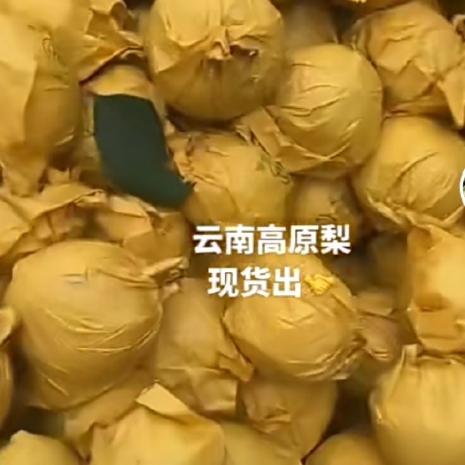 开远市云南高原梨