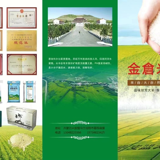 乌兰浩特内蒙古兴安盟的大米，洮儿河水灌溉，人工种植，