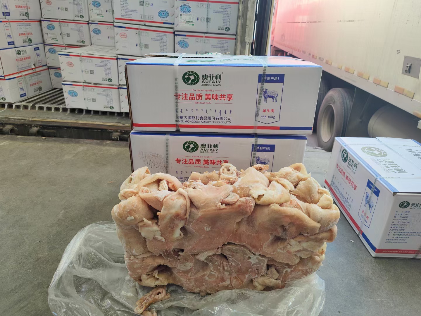 澳菲利
熟羊脸