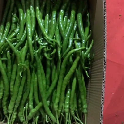 昆明大量线椒，螺丝椒，欢迎各地的老板报价