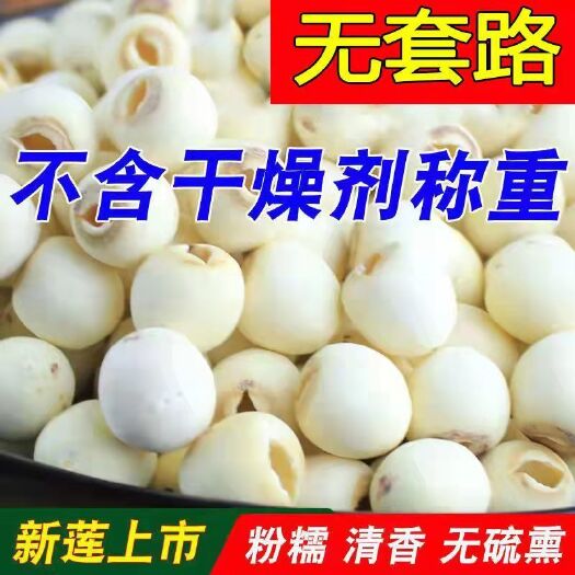 济南【批发白莲子】新货红莲子 干货 无硫野生莲子新鲜磨皮去芯白莲