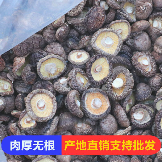 2024西峡香菇干香菇厚肉香菇去柄剪脚干香菇【好货】产地直销