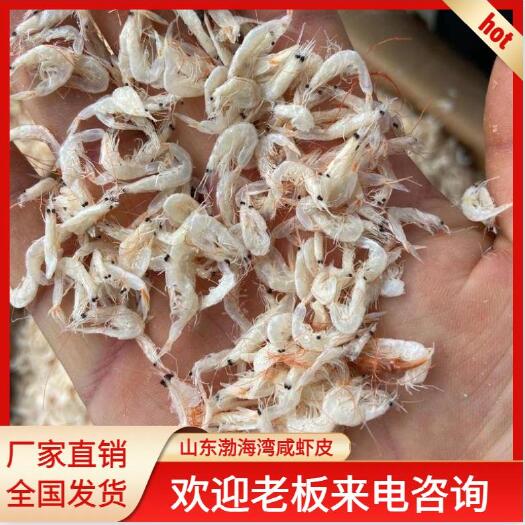 滨州山东渤海湾咸虾皮(一手货源，自产自销)一件代发
