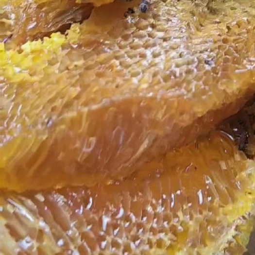 册亨县天然野生蜂蜜，有需要的可以联系我。