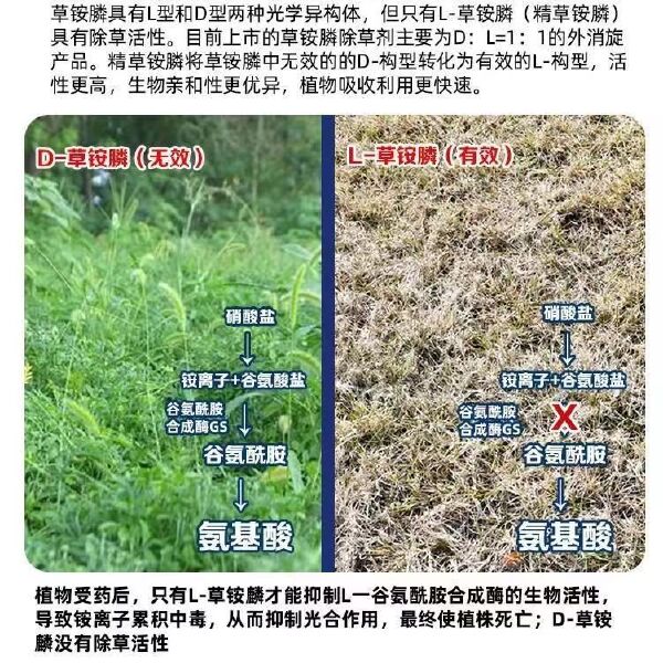 利尔精草铵膦铵盐高浓度除草剂果园荒地杂草灭草剂农药