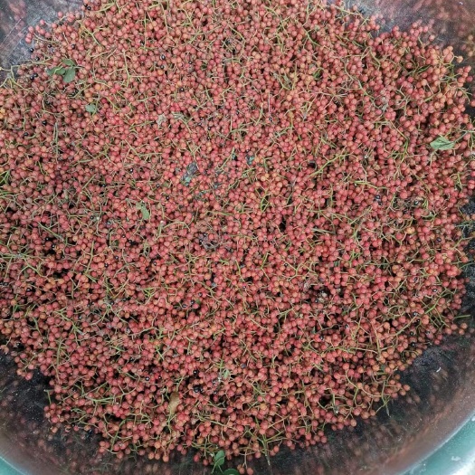 芮城县花椒