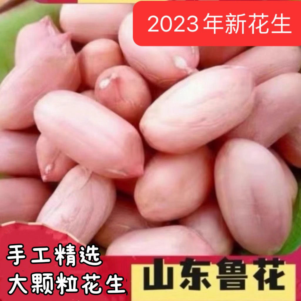 23年新货山东鲁花花生米新鲜大颗粒花生米精选去壳生花米