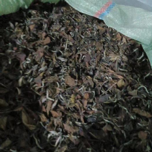 霞浦县宁德霞浦白茶