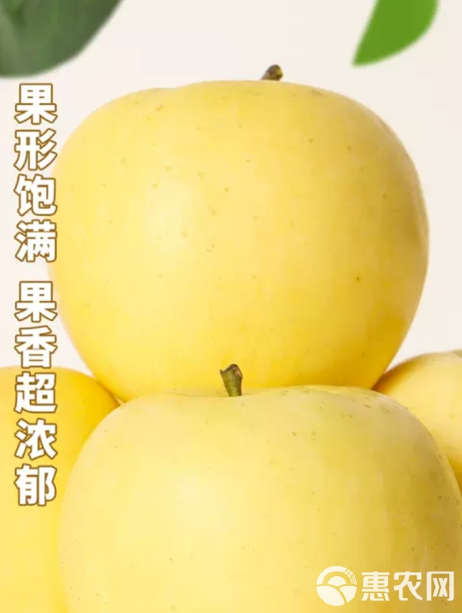 【果园直发】应季山东烟台牟平黄金奶油富士3/5/9斤整箱发货