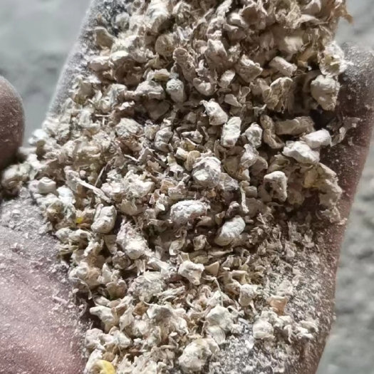 正定县玉米芯