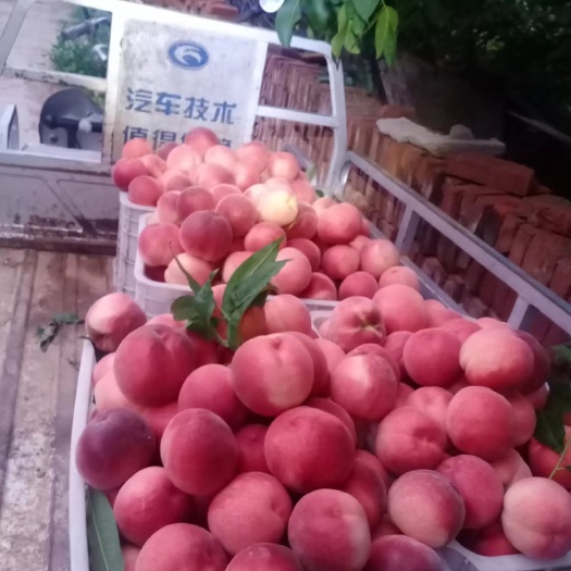 北京北京平谷，九号桃精品盒装，单果六两以上，50元每箱，量大从优