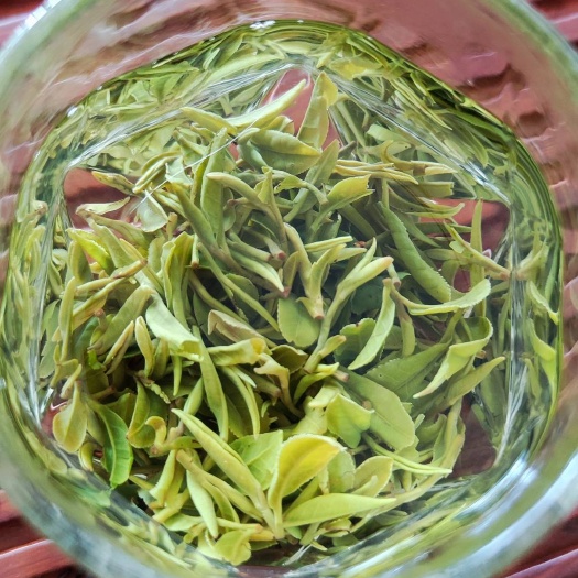 日照日照绿茶～原产地露天头茬头采山地雨前茶