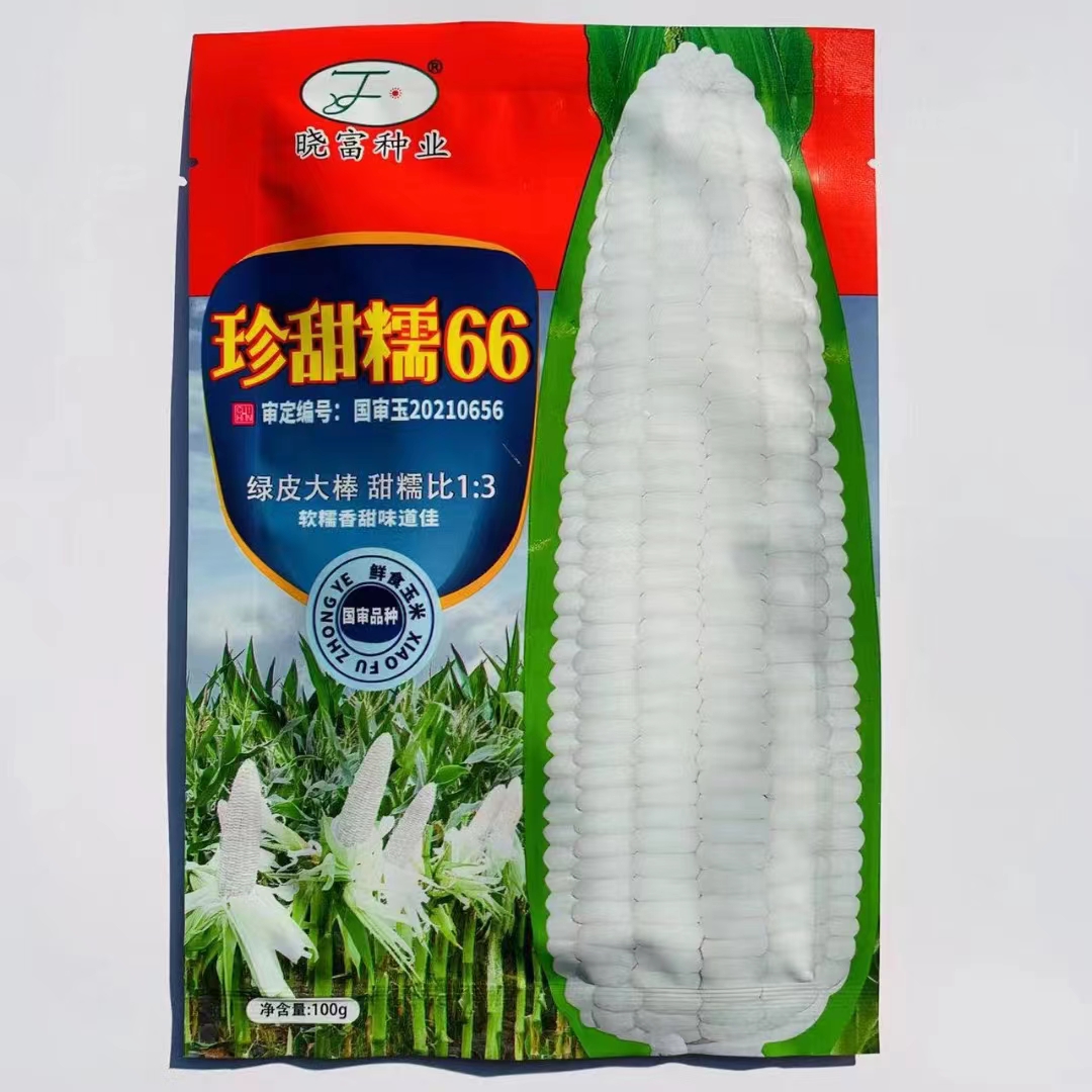 夏邑县甜玉米种子   珍甜糯甜糯玉米种子，水果玉米种子，黑玉米种子