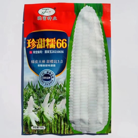 夏邑县甜玉米种子   珍甜糯甜糯玉米种子，水果玉米种子，黑玉米种子