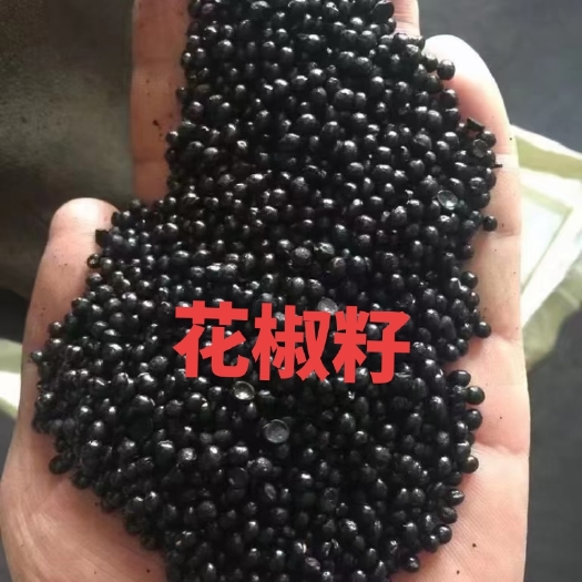 石家庄花椒籽