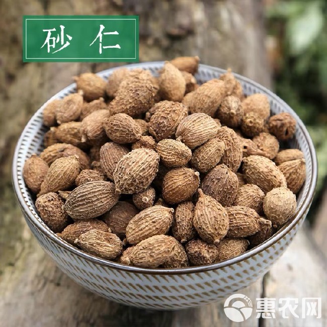 砂仁中药材沙仁香砂仁粉砂仁果泡水砂仁茶毛砂仁