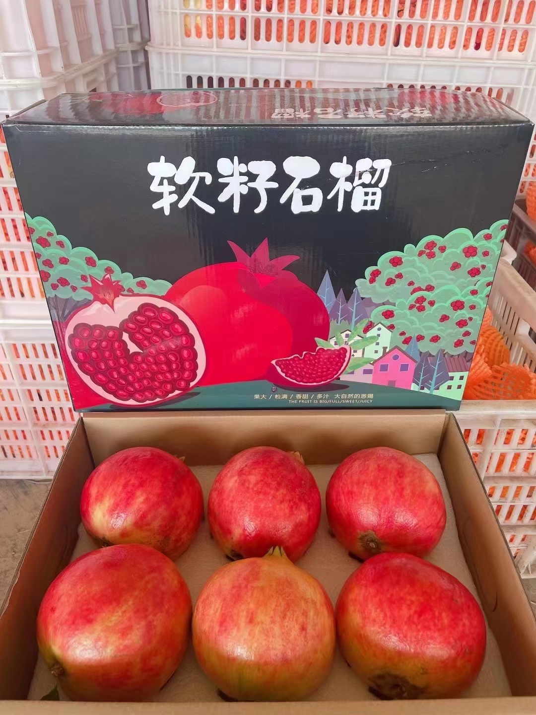 会理突尼斯软籽石榴