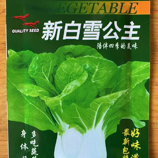 青梗菜种子矮脚小青菜种籽秋天冬天蔬菜菜子