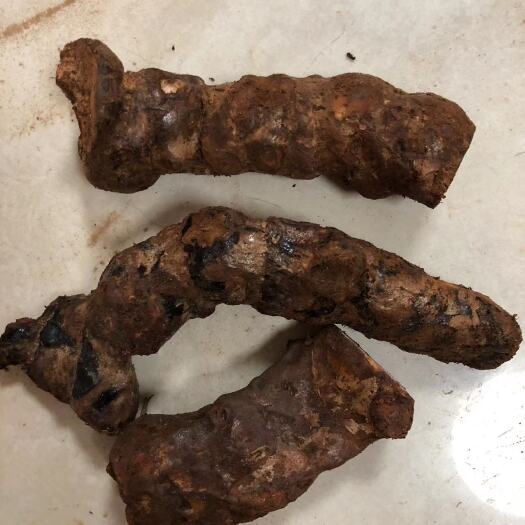 阳西县新鲜土茯苓大土丶中土等规格，云南土茯苓煲汤丶泡酒药材长期供应