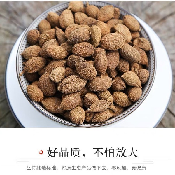 砂仁中药材沙仁香砂仁粉砂仁果泡水砂仁茶毛砂仁