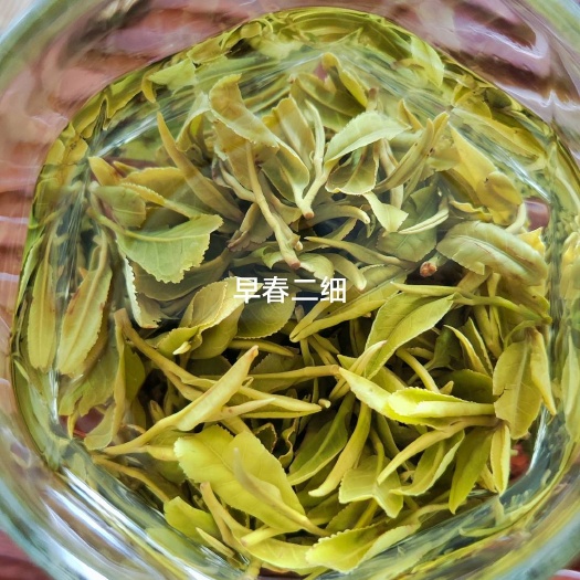 日照早春绿茶～5.1前的日照绿茶