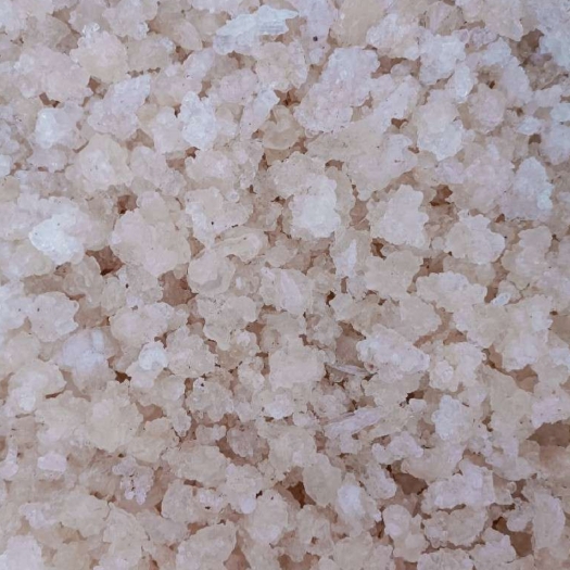 长沙雪燕