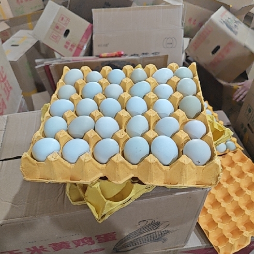 京山市绿壳鸡蛋