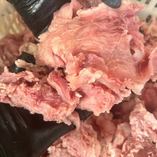 阳信县生肉筋