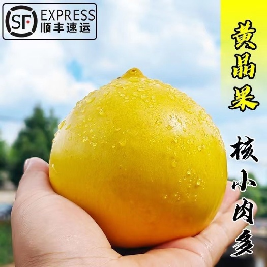 海口(顺丰包邮)黄晶果大果黄金果一件代发